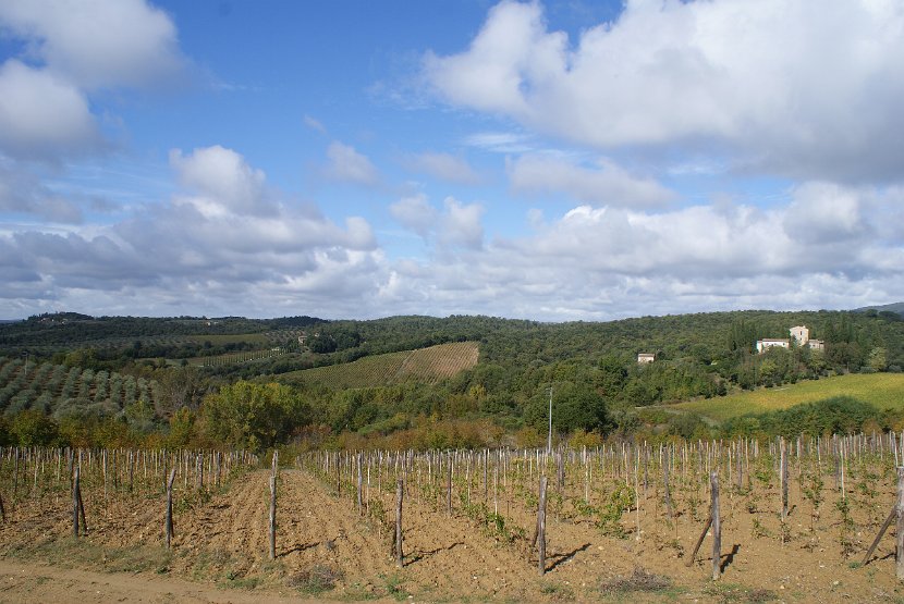 Chianti-2 2016 - 108
